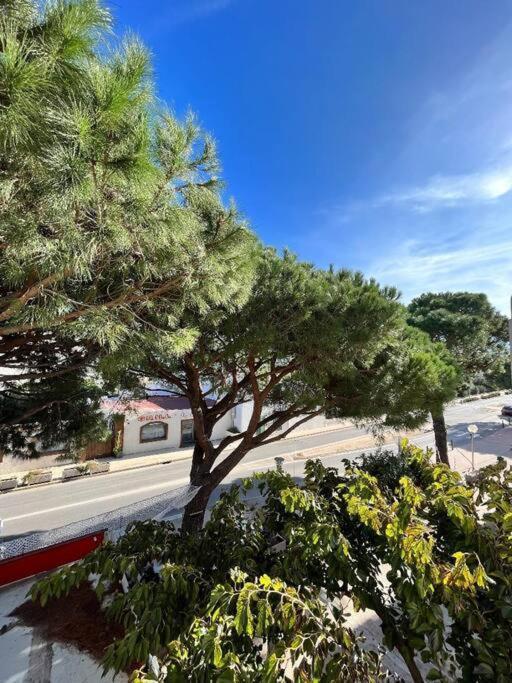 Joli Studio Calvi 50M Plage Exterior foto